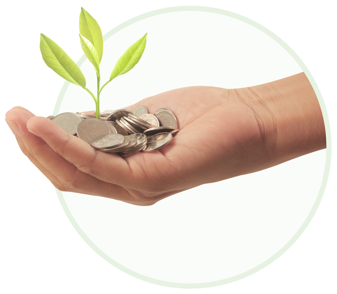 Hub de Inteligência Verde — Código Verde Corp.