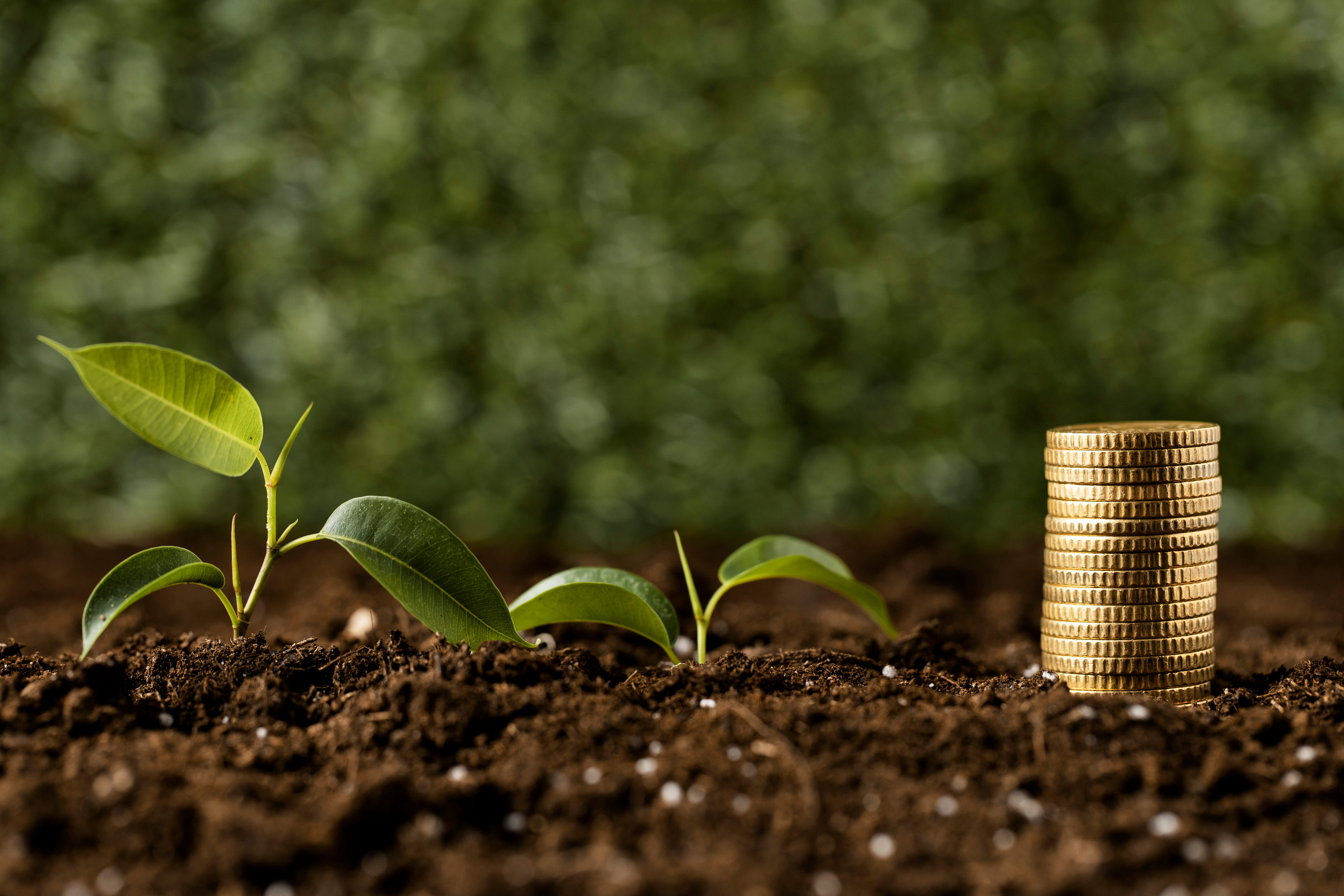 CPR Verde para agronegócio